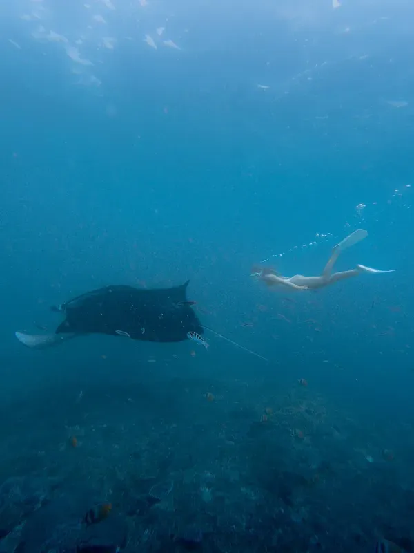 Nusa Penida visitor photo 3